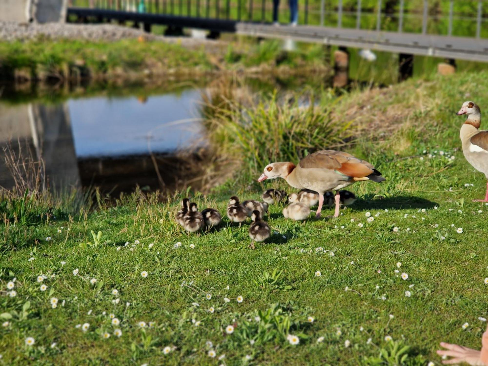 Am Kurpark Bad Wimpfen